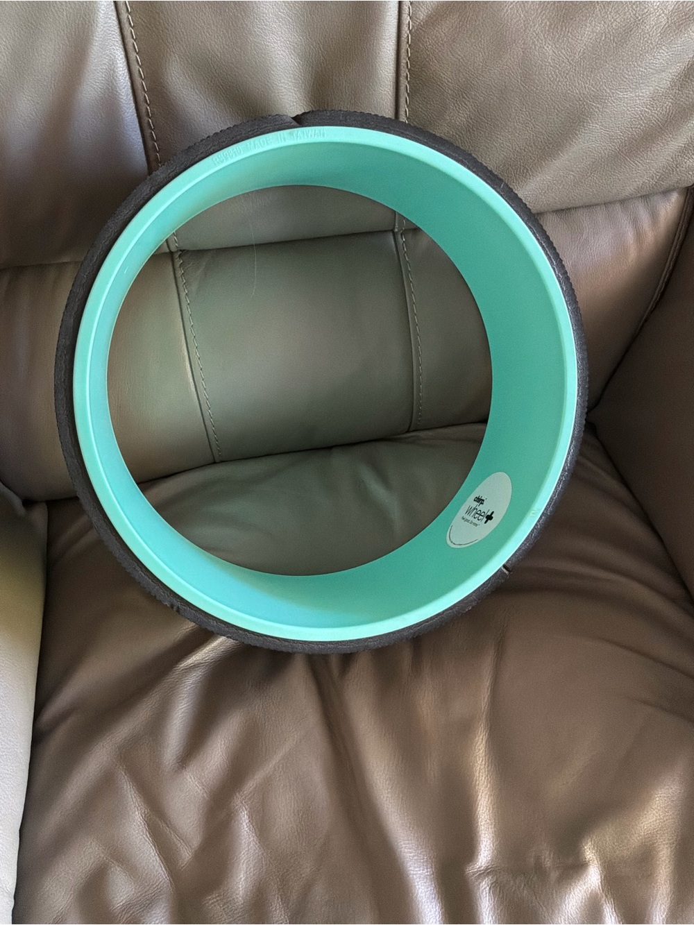 -Yoga chirp+ Wheel Fitness Accessory 12 inch Aqua/Turquoise Support Wheel